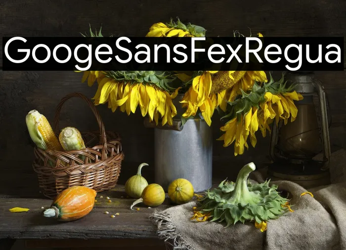 Google Sans Flex Regular Example 1