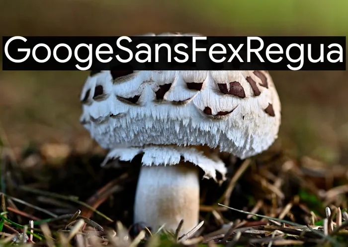 Google Sans Flex Regular Example 3