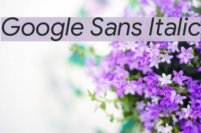 Google Sans Italic Example 1