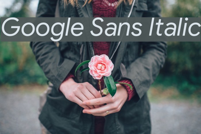 Google Sans Italic Example 2