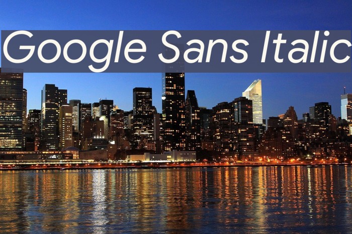 Google Sans Italic Example 3