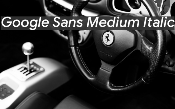 Google Sans Medium Italic Example 1