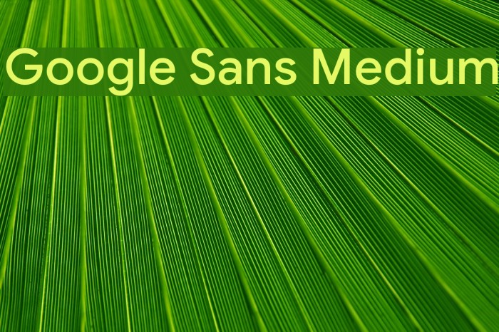 Google Sans Medium Example 1