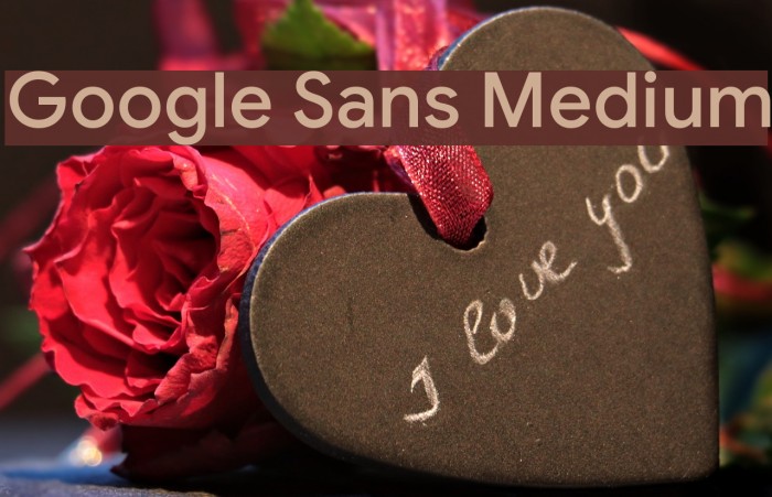 Google Sans Medium Example 2