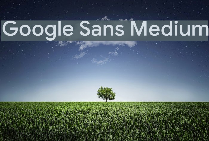 Google Sans Medium Example 3