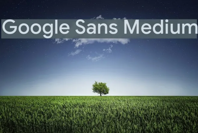 Google Sans Medium Example 3