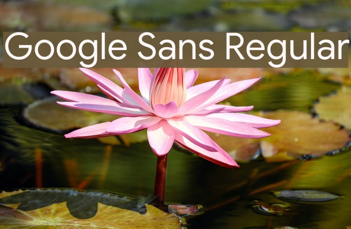 Google Sans Regular Example 2