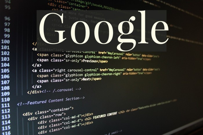 Google フォント examples