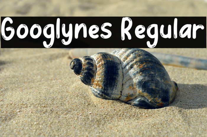 Googlynes Regular Example 3