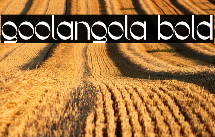 Goolangola Bold Example 1