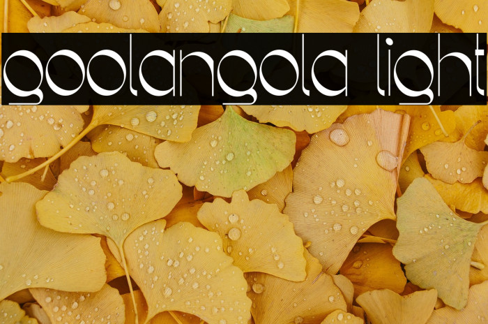 Goolangola Light Example 1