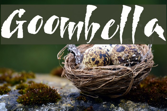 Goombella Font examples