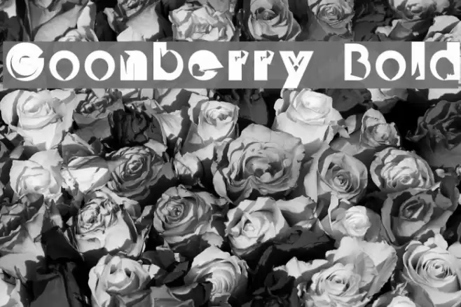 Goonberry Bold Font examples