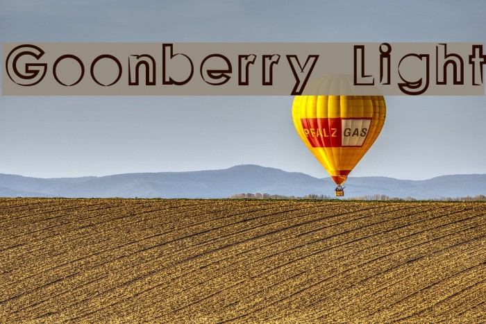 Goonberry Light Font examples