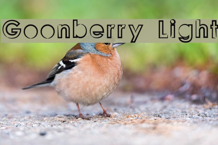 Goonberry Light Font examples