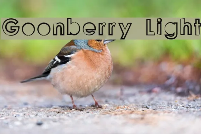 Goonberry Light Example 3