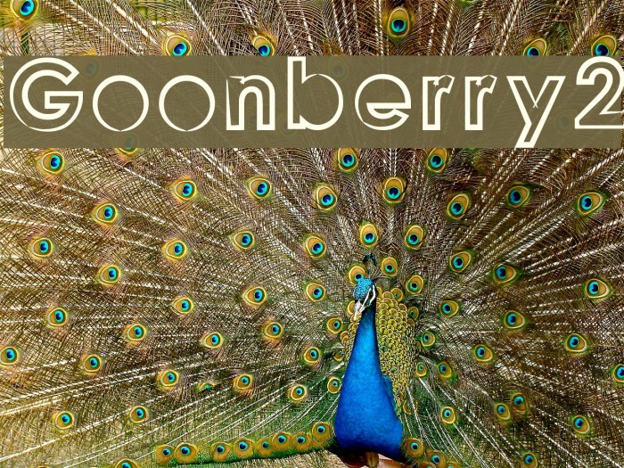 Goonberry2 Font examples