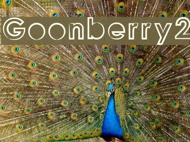 Goonberry2 Example 2