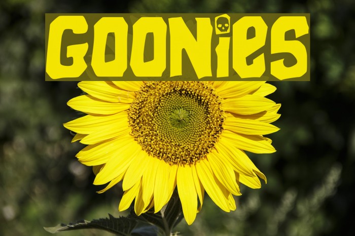 Goonies Font examples