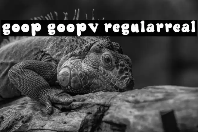 Goop Goopv2 Regularreal Schriftart examples
