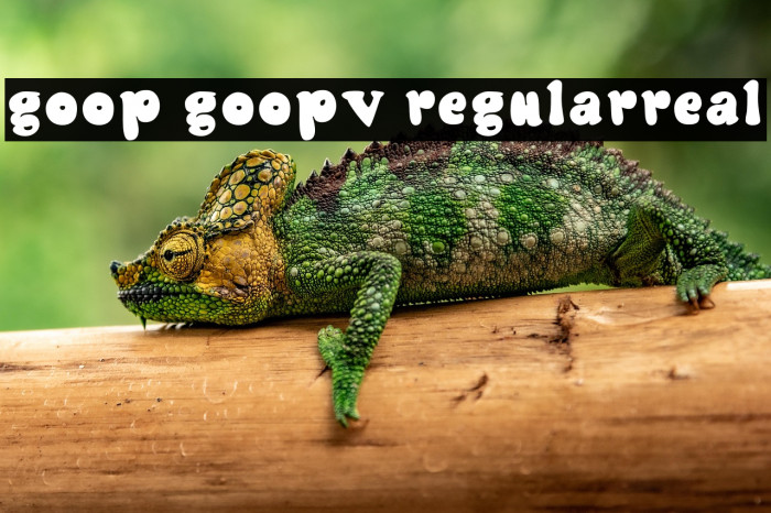 Goop Goopv2 Regularreal Example 2