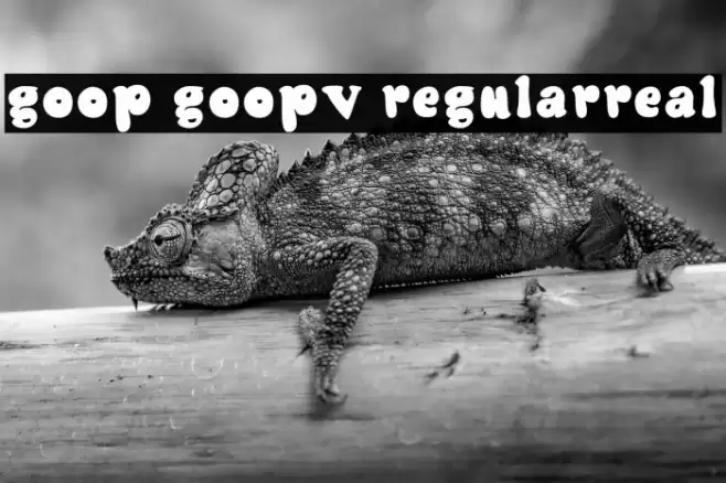 Goop Goopv2 Regularreal Schriftart examples