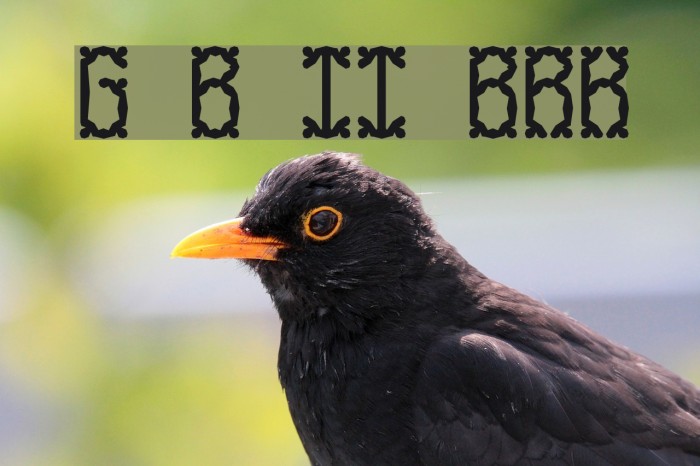 Goose Bumps II BRK Font examples