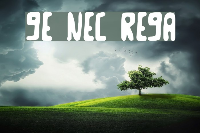 Goose Neck Regular Font examples