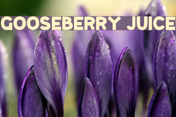 Gooseberry Juice フォント examples