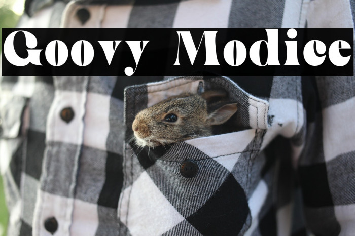 Goovy Modice Example 1