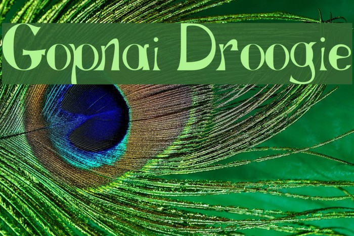 Gopnai Droogie Font examples