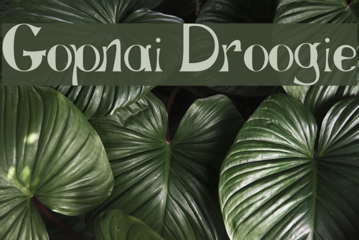 Gopnai Droogie Font examples
