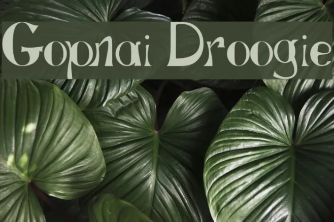 Gopnai Droogie Example 3