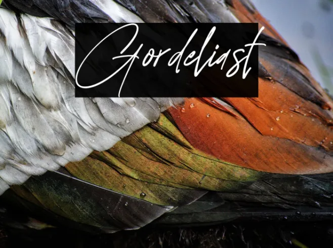Gordeliast Example 1