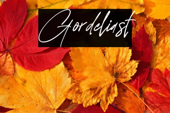 Gordeliast Example 3