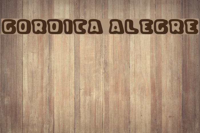 Gordita Alegre Font examples