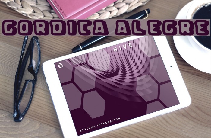 Gordita Alegre Font examples