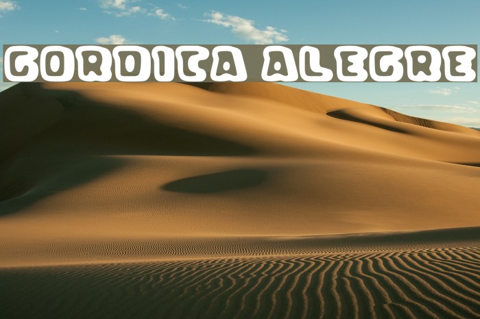 Gordita Alegre Font examples