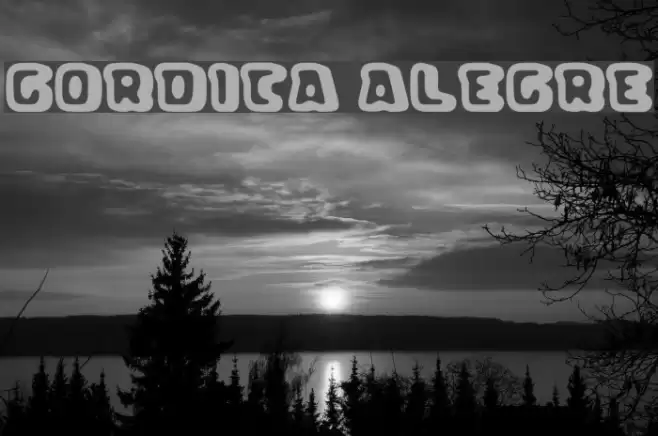 Gordita Alegre Font examples