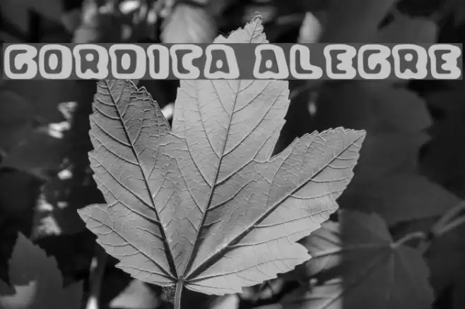 Gordita Alegre Font examples