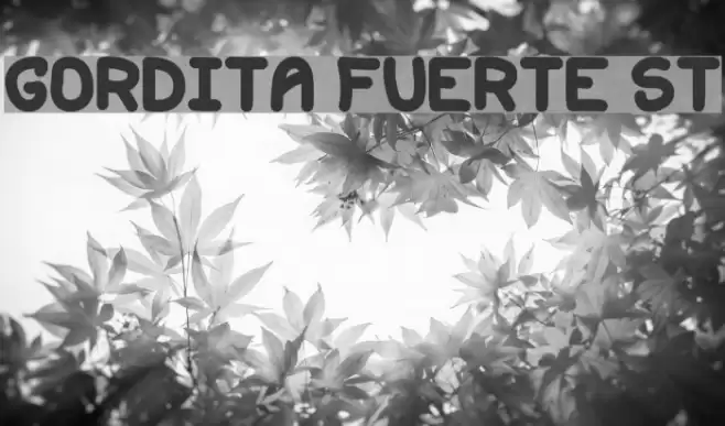 Gordita Fuerte St Font examples