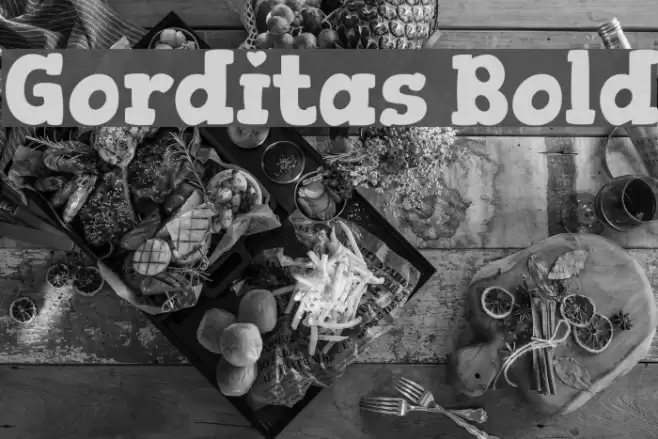 Gorditas Bold Font examples