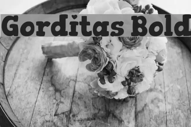 Gorditas Bold Font examples