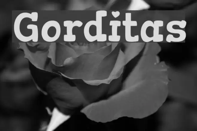 Gorditas Font examples
