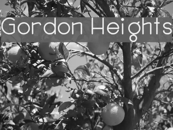 Gordon Heights Font examples