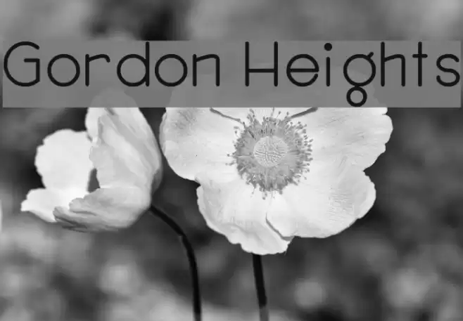 Gordon Heights Font examples