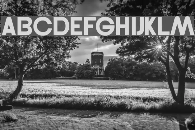 Gordon Regular Font examples