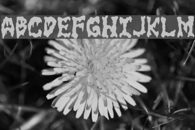 GoreFont II Font examples