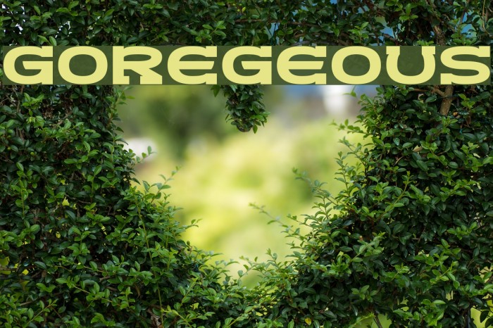 Goregeous Font examples