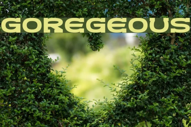 Goregeous Example 1